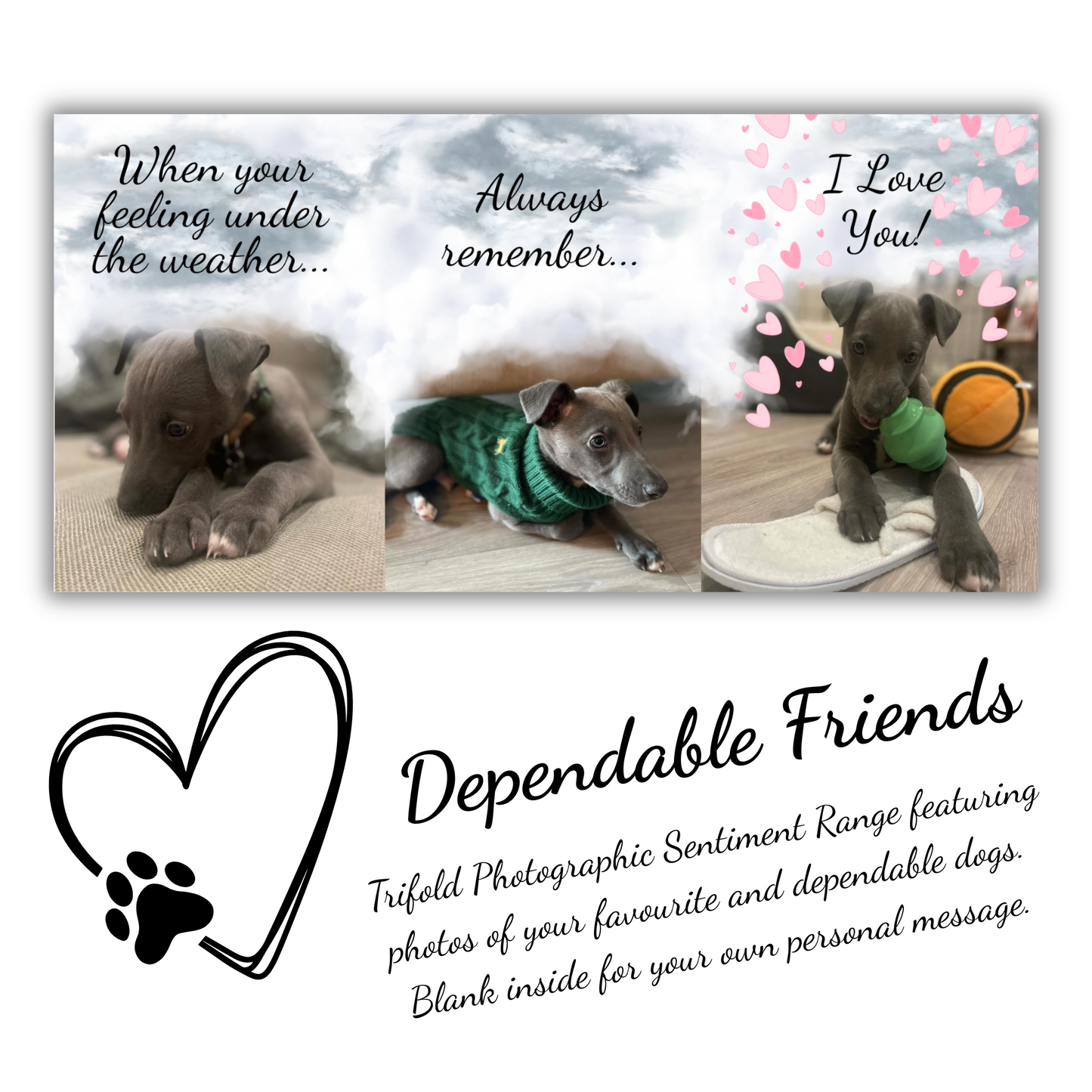 The image depicts the Bare Cards Dog Photo Get well Card with the full trifold image open showing 3 cute photos of a whippet puppy. The caption on the card reads 'When you're feeling under the weather, always remember, I love you!.'
Below is the Dependable Friends logo, a black outline of a heart with a dog paw. The words read 'Dependable Friends. Trifold Photographic Sentiment Range featuring photos of your favourite and dependable dogs. Blank inside for your own message'
