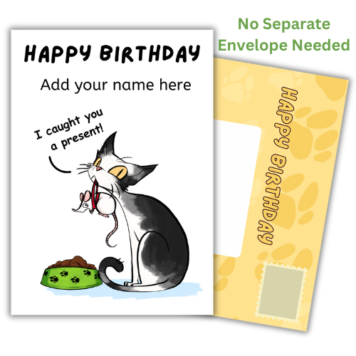 A humorous birthday greeting card featuring a cartoon cat holding a present, with spaces for personalization such as adding a name. The card is designed to be postable without an envelope.