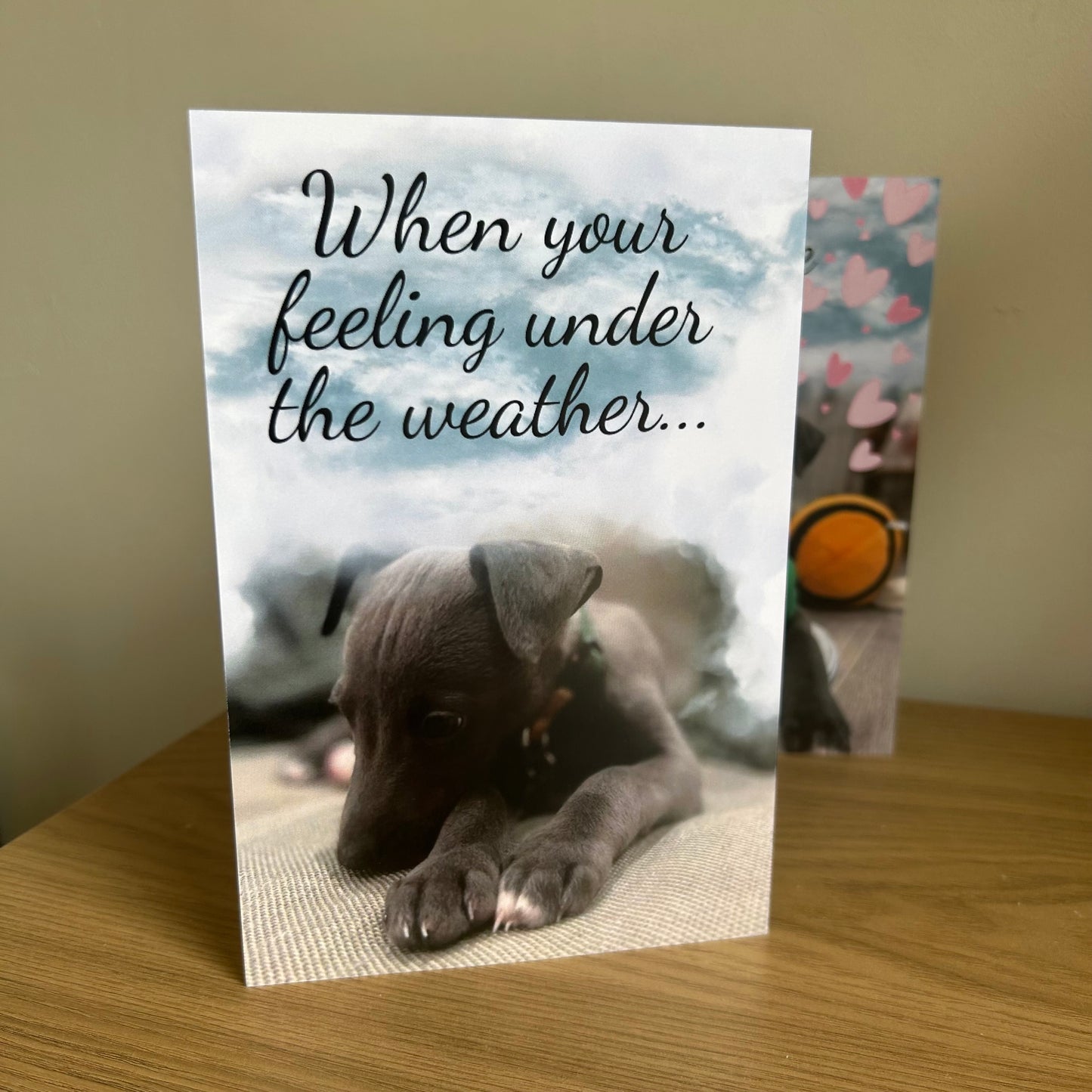 The image shows a photograph of the front of the Bare Cards Dog Photo Sentiment Card 'Feeling under the weather' showing a cute whippet puppy looking forlorn under grey clouds and the words ' when you're feeling under the weather..'.
