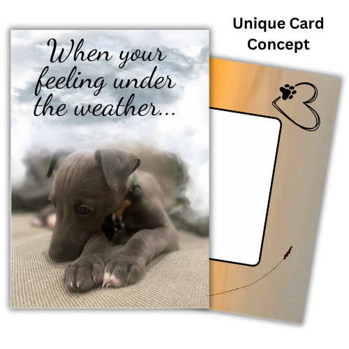 The image shows the front of the Bare Cards Dog Photo Sentiment Card 'Feeling under the weather' showing a cute whippet puppy looking forlorn under grey clouds and the words ' when you're feeling under the weather..'. Behind is an image of the Bare Cards Built-in Envelope front, with sunset and a white rectangle to write address. There is a black heart outline with a dog paw and a single ear of corn silhouetted against the sunset. The caption reads 'Unique Card Concept'
