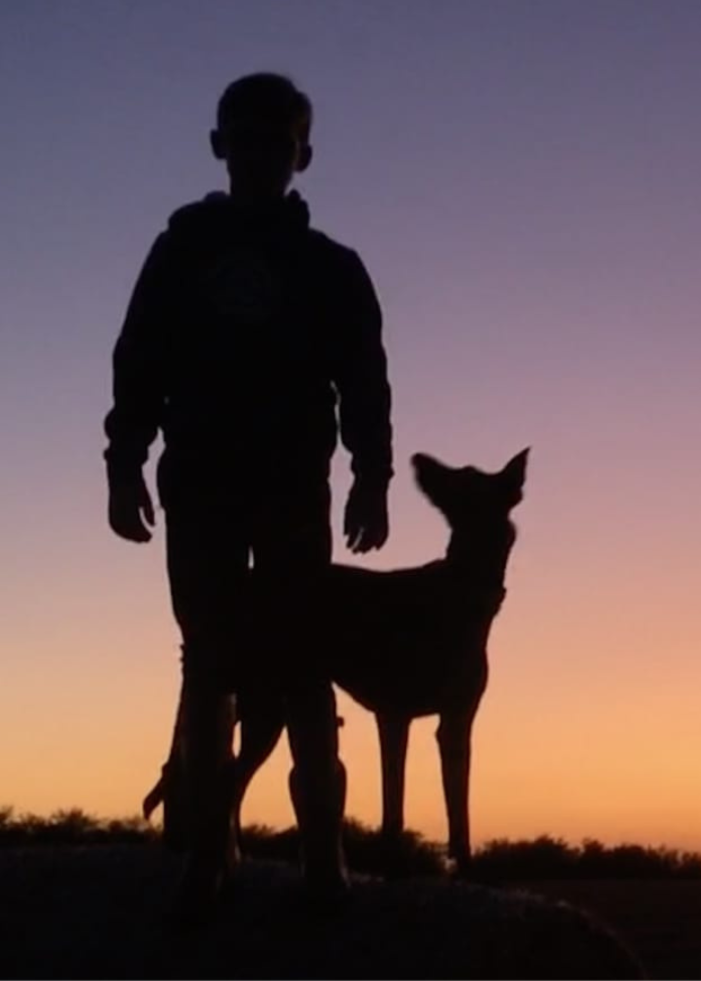 The image shows the front of the Bare Cards Dog Photo Sentiment Card 'I've got you' showing a silhouette of a boy with his dog looking up at him on a sunset background.