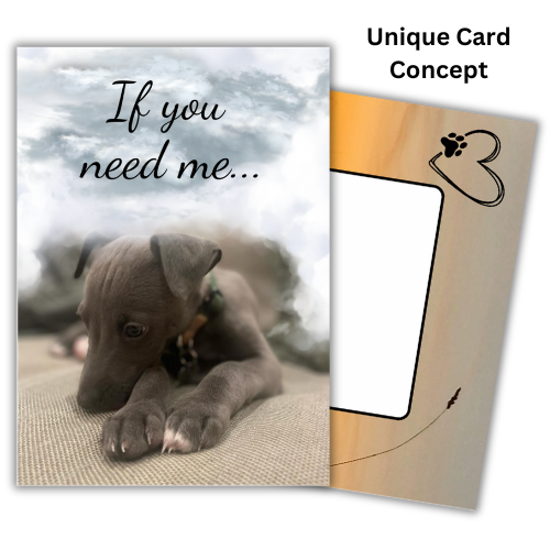 The image shows the front of the Bare Cards Dog Photo Sentiment Card 'If you need me' showing a scute whippet puppy looking forlorn under grey clouds and the words 'If you need me...'. Behind is an image of the Bare Cards Built-in Envelope front, with sunset and a white rectangle to write address. There is a black heart outline with a dog paw and a single ear of corn silhouetted against the sunset. The caption reads 'Unique Card Concept'