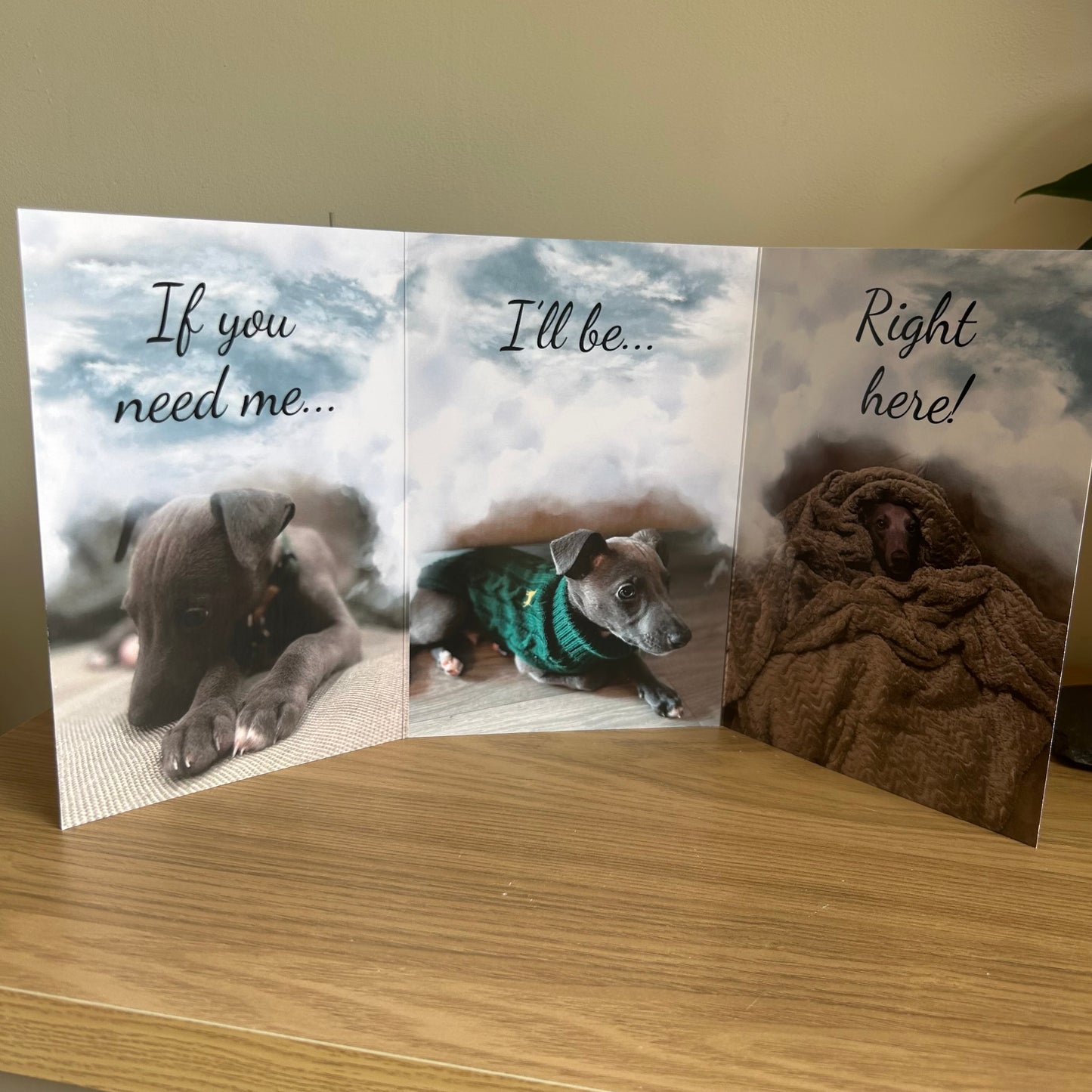 The image depicts a photo of the Bare Cards Dog Photo Get well Card with the full trifold image open showing 3 cute photos of a whippet puppy. The caption on the card reads 'If you need me... I'll be... Right here!.'
