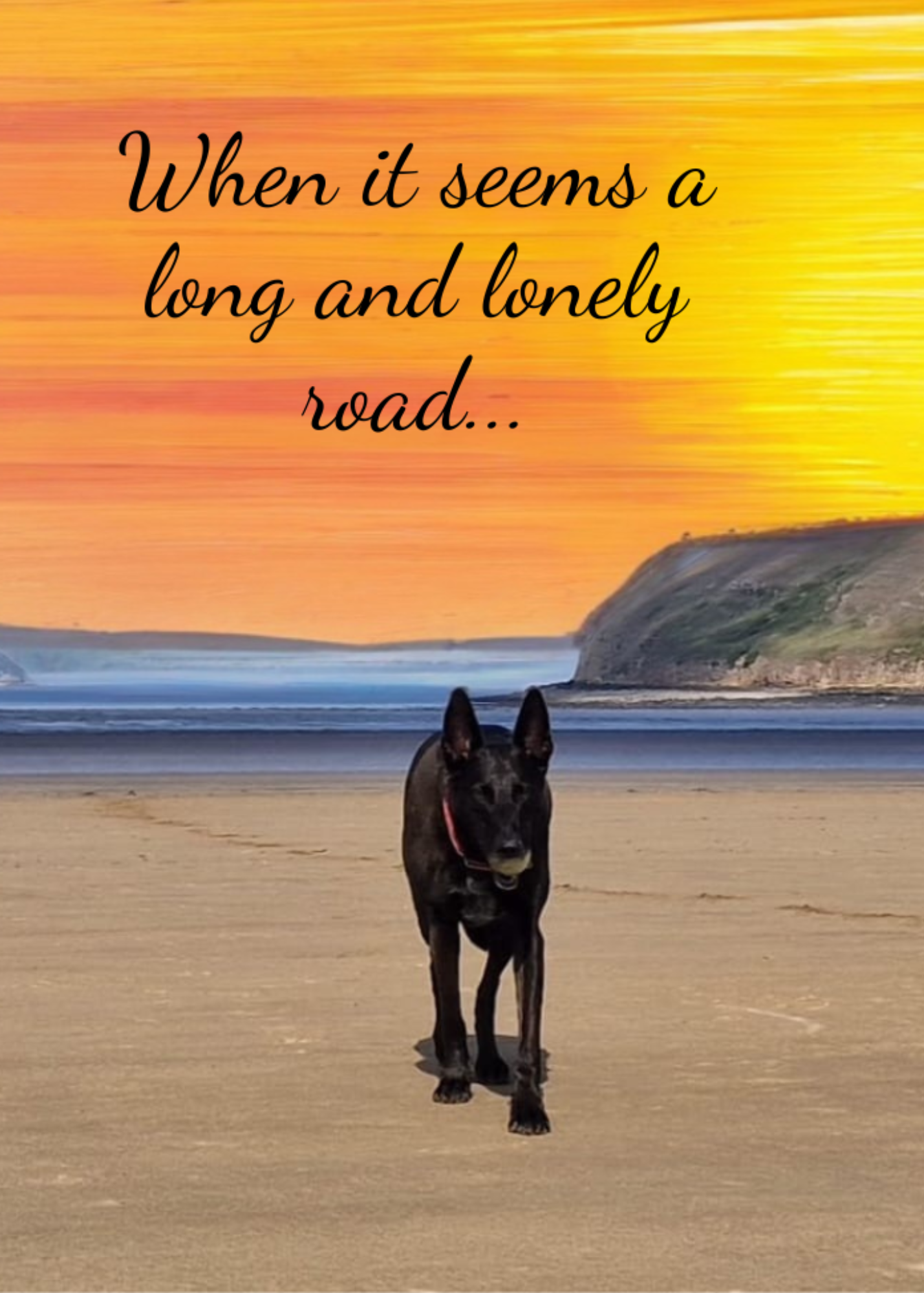 The image shows the front of the Bare Cards Dog Photo Sentiment Card 'Lonely Road' showing a dog trotting up the empty beach with a sunset background and the words 'When it seems a long and lonely road'.