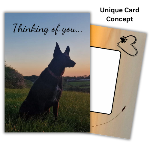 The image shows the front of the Bare Cards Dog Photo Sentiment Card 'Thinking of you' showing a black dog looking across the fields and the words 'Thinking of you...'. Behind is an image of the Bare Cards Built-in Envelope front, with sunset and a white rectangle to write address. There is a black heart outline with a dog paw and a single ear of corn silhouetted against the sunset. The caption reads 'Unique Card Concept'