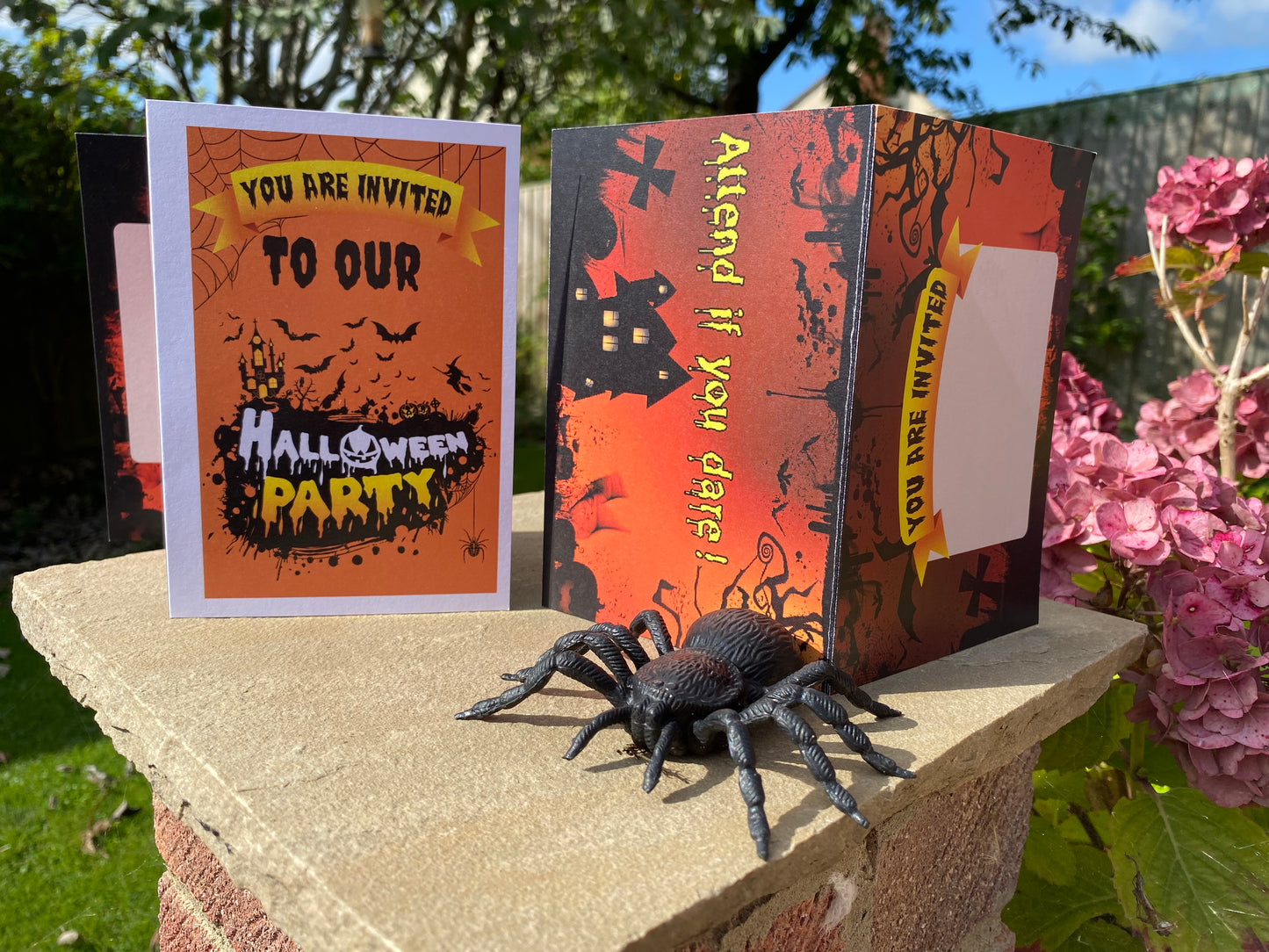 Set of 6 Halloween Party Invites