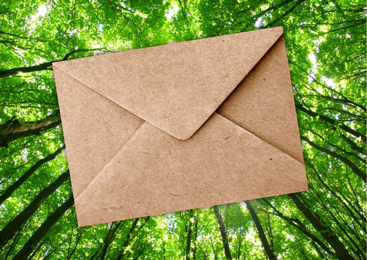 The Envelope; an unnecessary single-use paper waste?