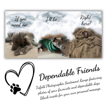 The image depicts the Bare Cards Dog Photo Get well Card with the full trifold image open showing 3 cute photos of a whippet puppy. The caption on the card reads 'If you need me... I'll be... Right here!.'
Below is the Dependable Friends logo, a black outline of a heart with a dog paw. The words read 'Dependable Friends. Trifold Photographic Sentiment Range featuring photos of your favourite and dependable dogs. Blank inside for your own message'