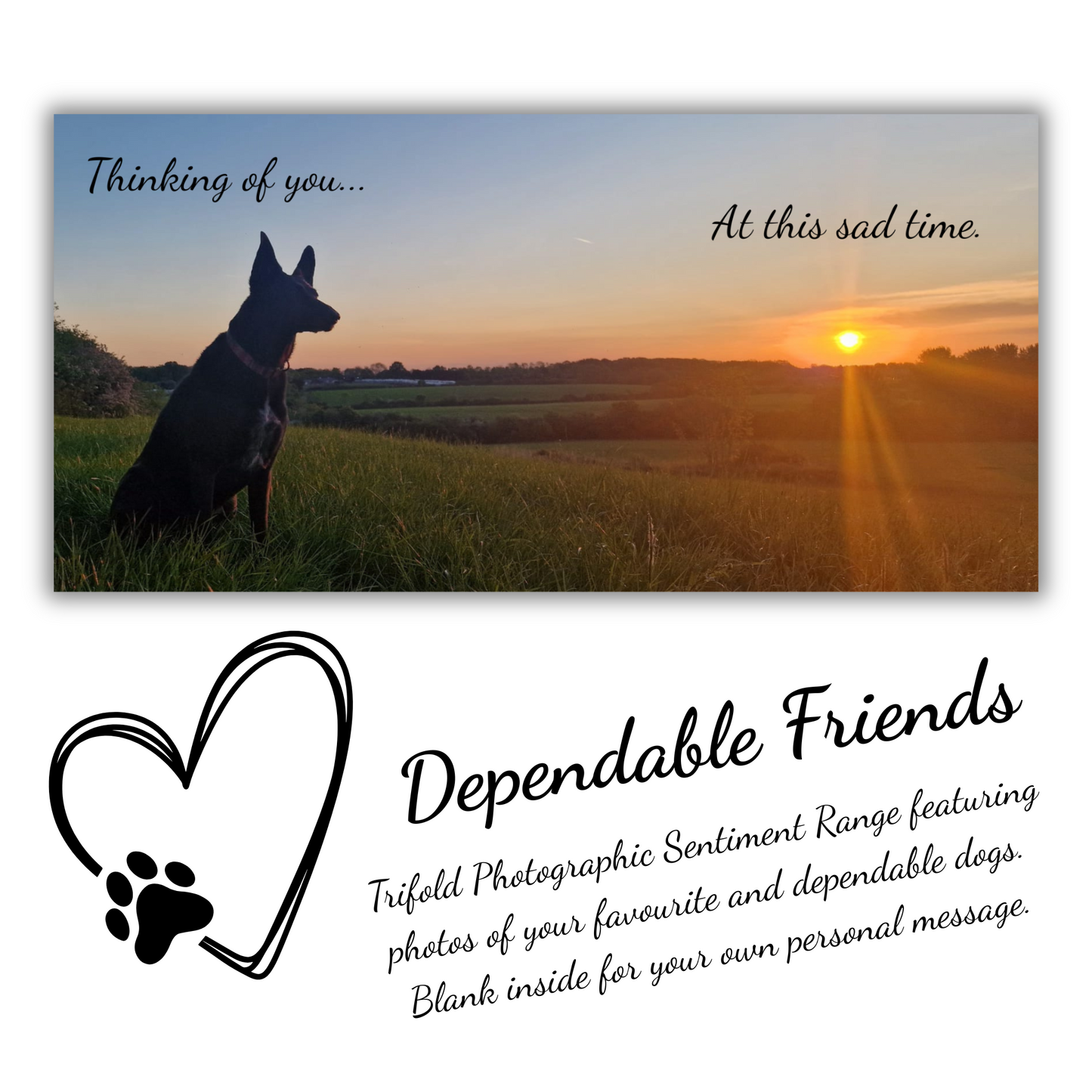 The image depicts the Bare Cards Dog Photo Sentiment Card 'Thinking you' with the full trifold image open showing a  dog looking up across the fields at the sunset. The caption on the card reads 'Thinking of you at this sad time.'
Below is the Dependable Friends logo, a black outline of a heart with a dog paw. The words read 'Dependable Friends. Trifold Photographic Sentiment Range featuring photos of your favourite and dependable dogs. Blank inside for your own message
