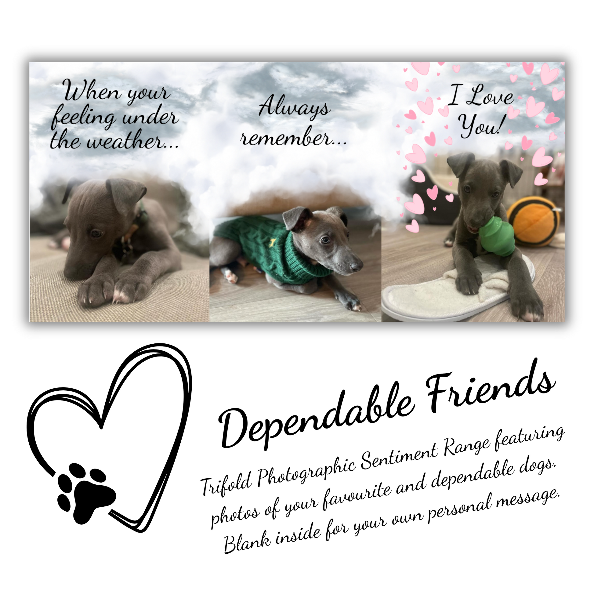 The image depicts the Bare Cards Dog Photo Get well Card with the full trifold image open showing 3 cute photos of a whippet puppy. The caption on the card reads 'When you're feeling under the weather, always remember, I love you!.'
Below is the Dependable Friends logo, a black outline of a heart with a dog paw. The words read 'Dependable Friends. Trifold Photographic Sentiment Range featuring photos of your favourite and dependable dogs. Blank inside for your own message'