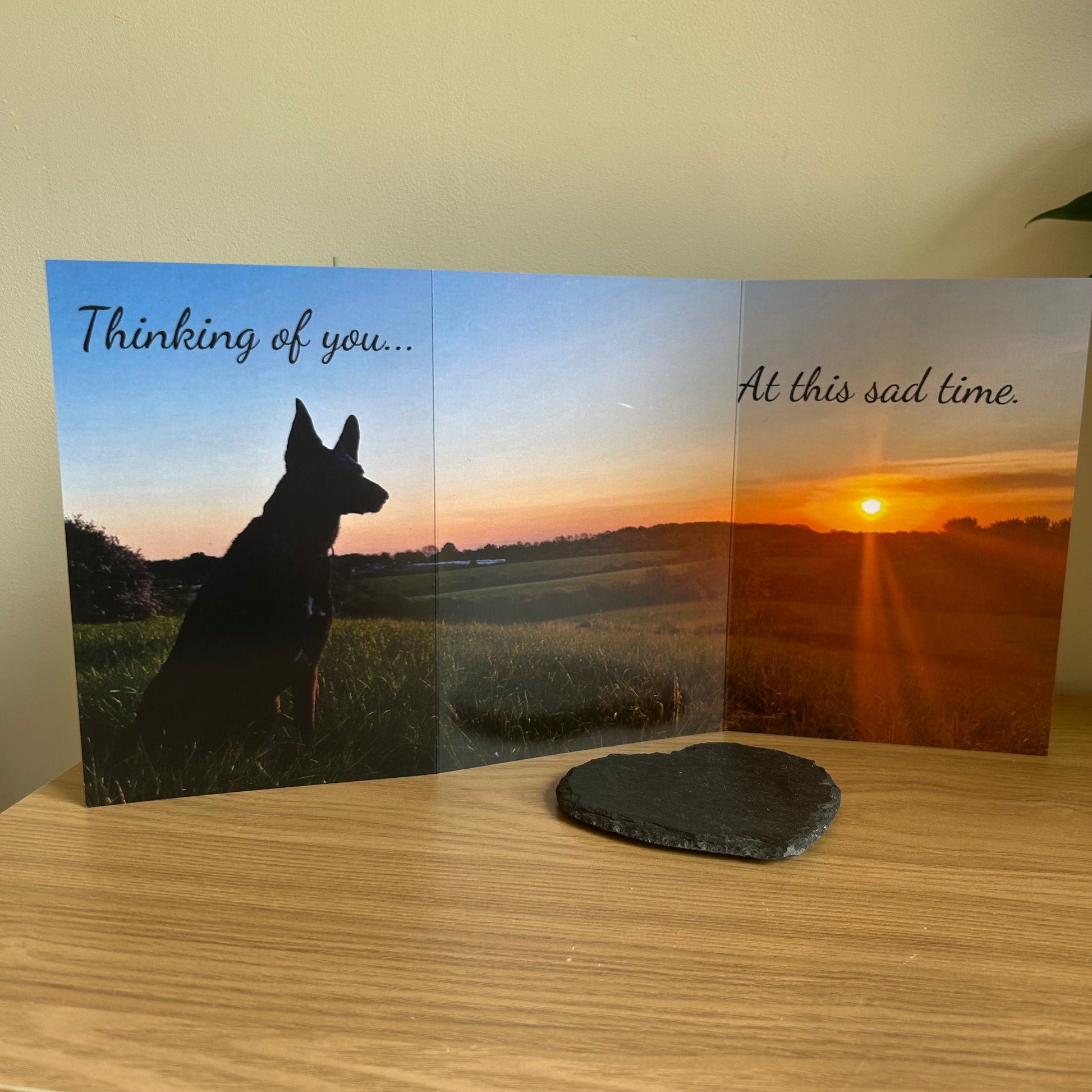 The image depicts a photo of the Bare Cards Dog Photo Sentiment Card 'Thinking you' with the full trifold image open showing a  dog looking up across the fields at the sunset. The caption on the card reads 'Thinking of you at this sad time.'
