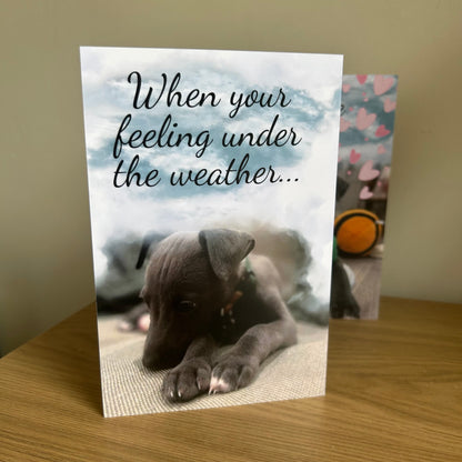 The image shows a photograph of the front of the Bare Cards Dog Photo Sentiment Card 'Feeling under the weather' showing a cute whippet puppy looking forlorn under grey clouds and the words ' when you're feeling under the weather..'. 