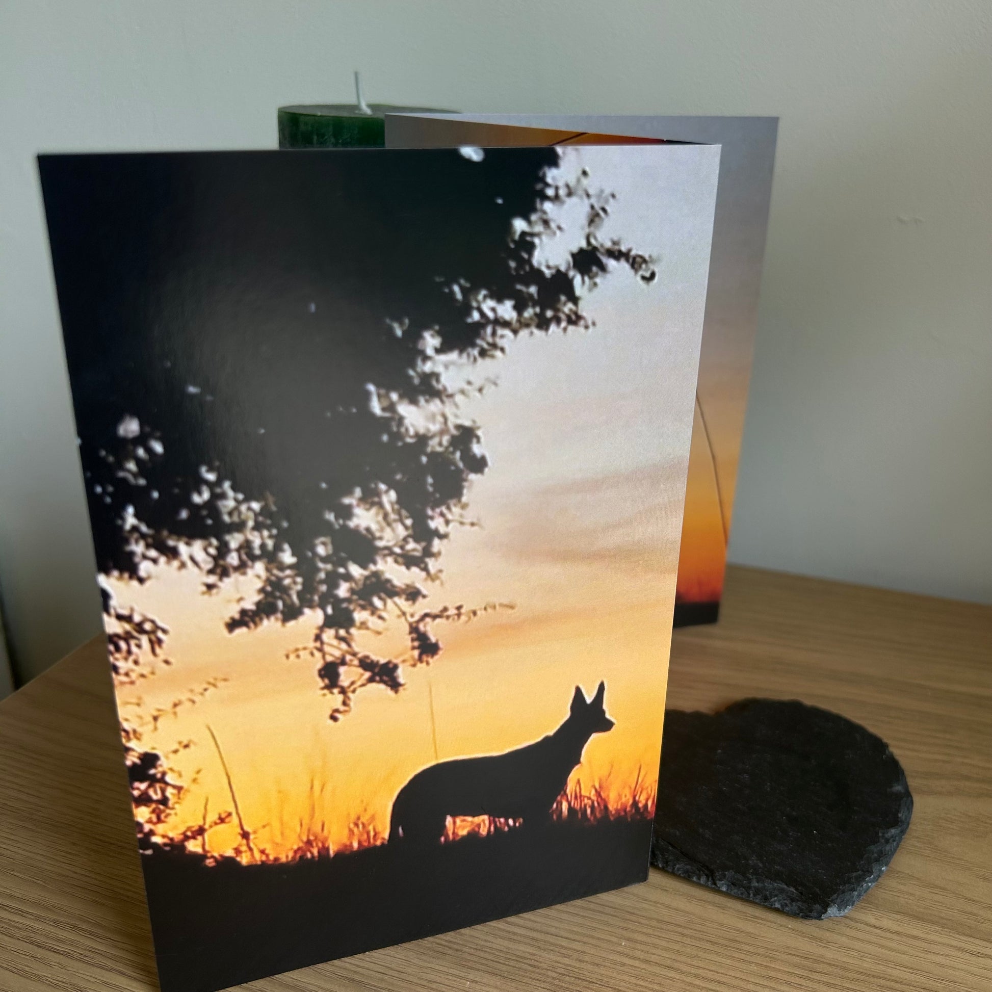 The image shows a photo of the front of the Bare Cards Dog Photo Sentiment Card 'Thins will get better' showing a silhouette of a  dog under a tree on a sunset background