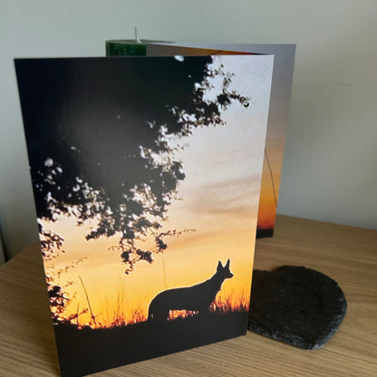 The image shows a photo of the front of the Bare Cards Dog Photo Sentiment Card 'Thins will get better' showing a silhouette of a  dog under a tree on a sunset background