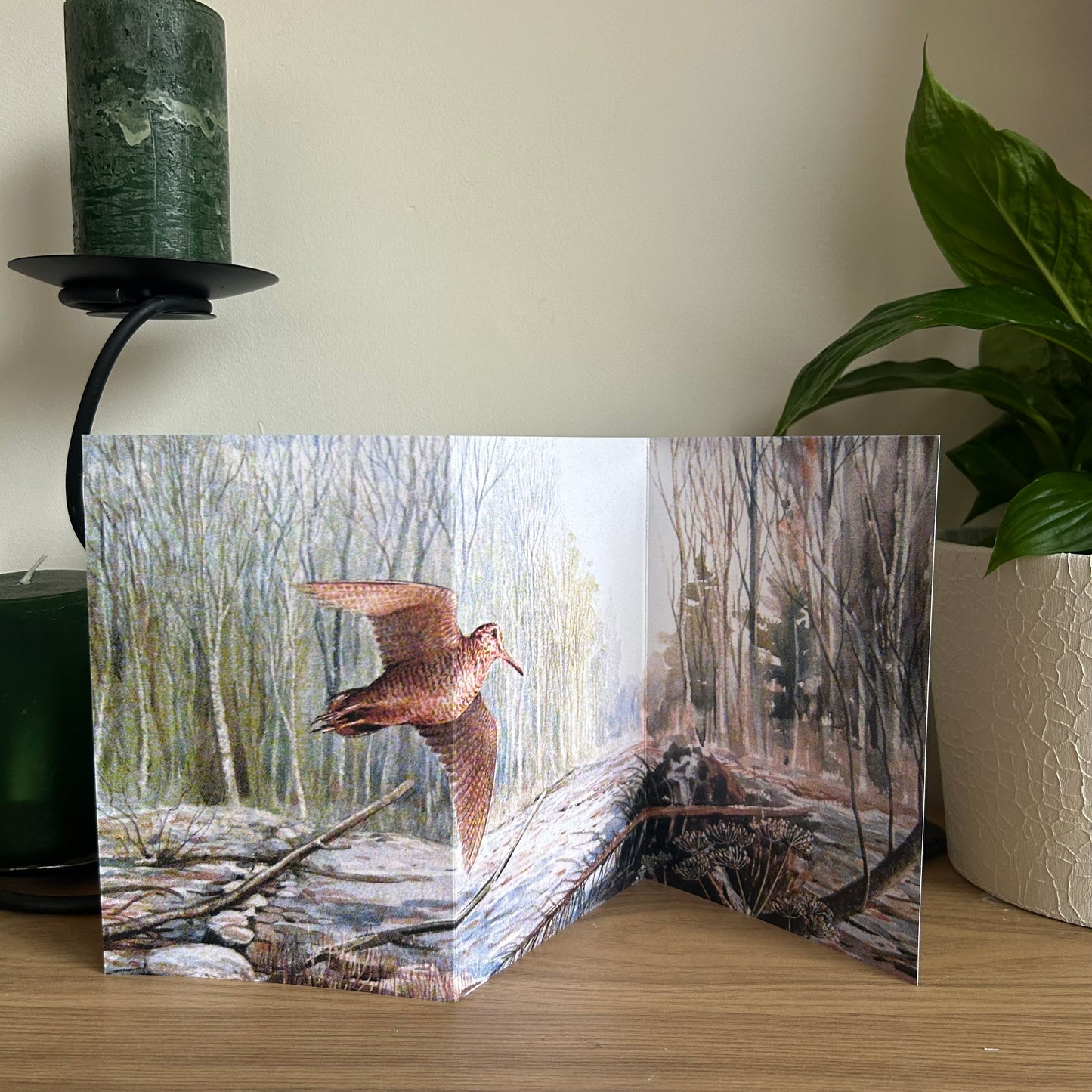 Trifold Greeting card with a Woodcock bird design on a wooden surface with a candle and plant in the background