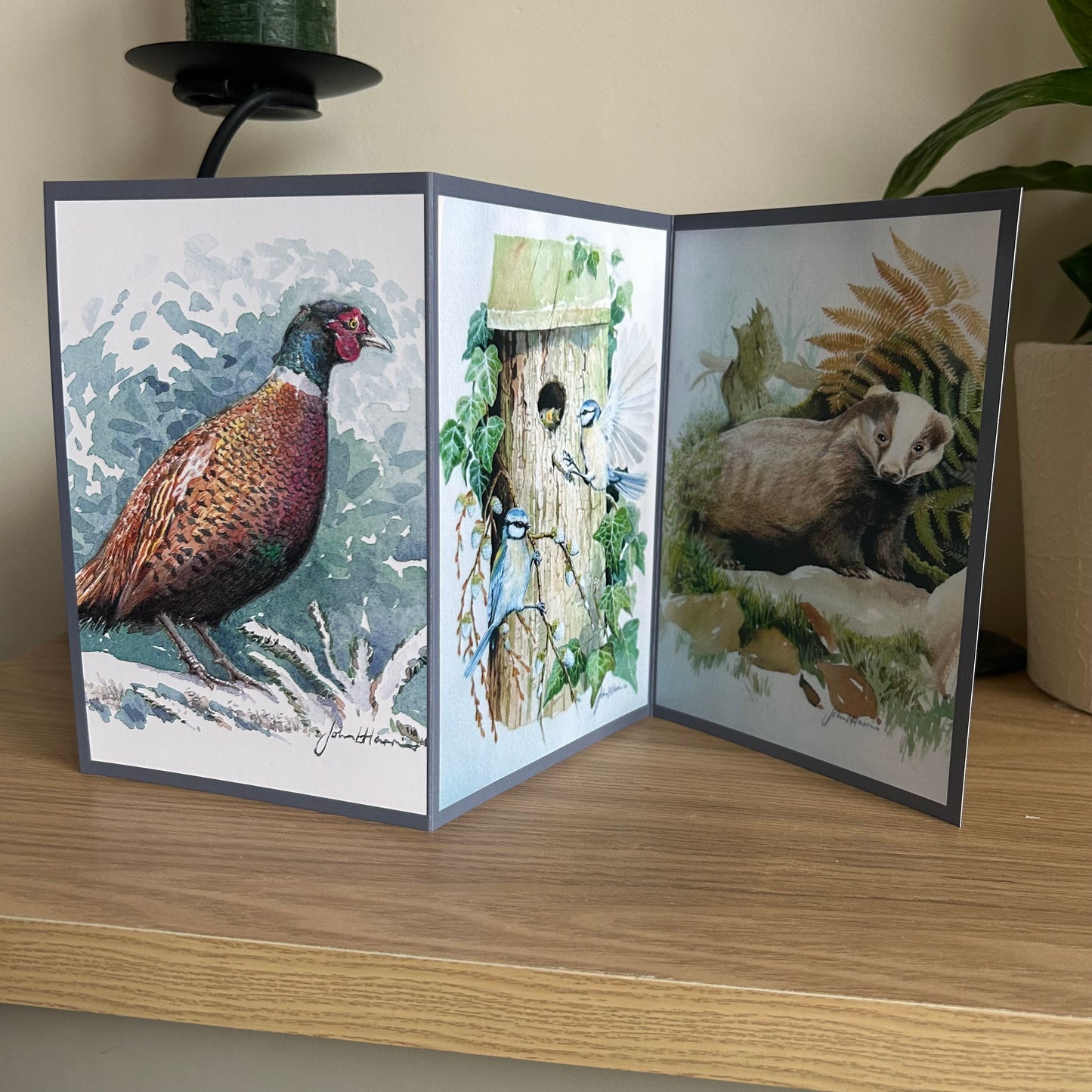 Tri-fold card with paintings of a pheasant, blue tits feeding young in the birdhouse, and a badger cub on a wooden surface.