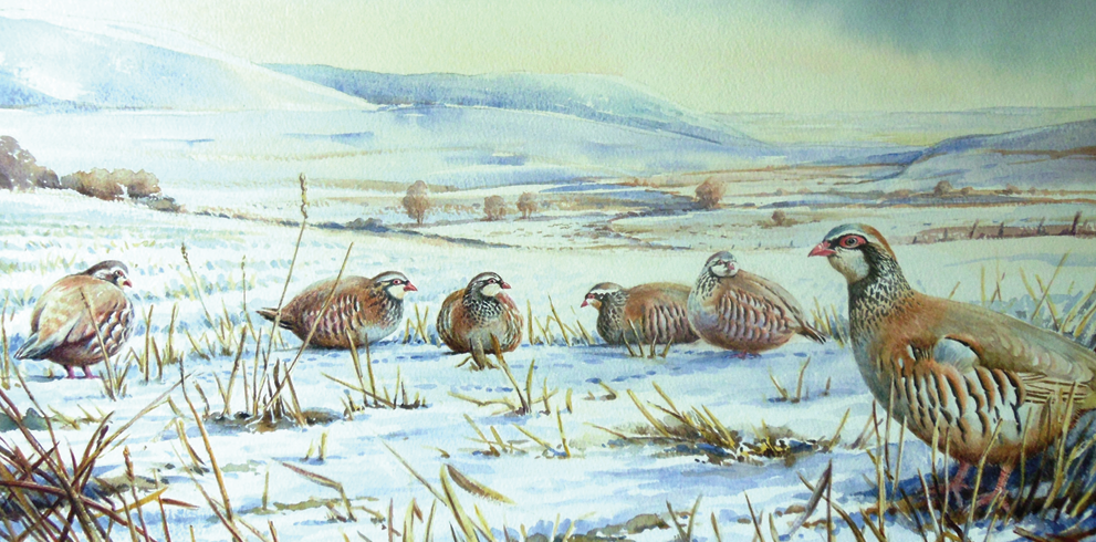 Illustration of partridge birds in a snowy landscape with mountains in the background