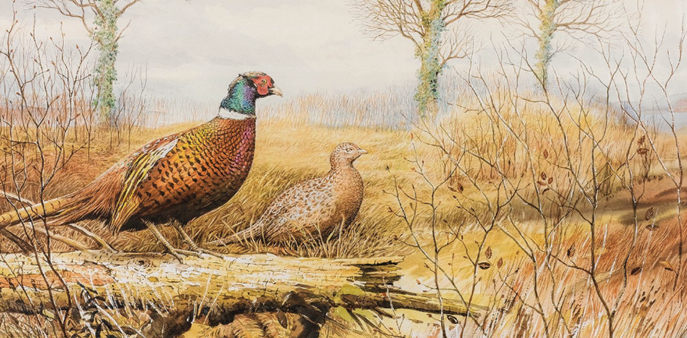 A painting of two pheasants in a natural landscape in Spirthill with trees and grass.
