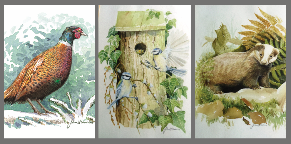 Three nature-themed illustrations: a pheasant, a birdhouse with bluetit birds feeding their young, and a badger cub in a forest setting.