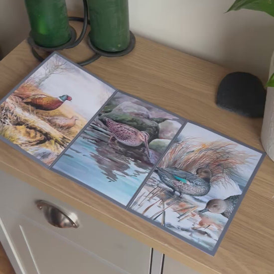 Video shows the self-sealing greetings card from Bare Cards from the John L Harris Collection - a trifold card showing paintings of British Wildlife  - Trio of British Birds. The Video shows how to fold, seal and write your card.