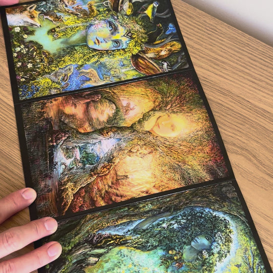 Demonstration video for the Bare Cards self-sealing greetings card from the fantasy art range 'The Josephine Wall Collection': Guardian of the Forest
