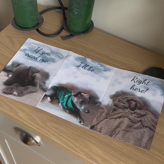 The video shows a demonstration of the Bare Cards Trifold Dog Photo Sentiment Card. The trifold image opens up to show three photographs of a cute whippet puppy looking forlorn under some clouds and the caption "If you need me, I'll be.. Right here!" The video then shows how to fold and seal this unique card to form the built-in envelope depicting sunset over a field of corn.