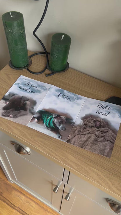 The video shows a demonstration of the Bare Cards Trifold Dog Photo Sentiment Card. The trifold image opens up to show three photographs of a cute whippet puppy looking forlorn under some clouds and the caption "If you need me, I'll be.. Right here!" The video then shows how to fold and seal this unique card to form the built-in envelope depicting sunset over a field of corn.