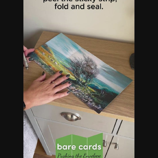 Video shows how to write, fold and seal the Bare Cards art ranges including where to write address and where to affix stamp.