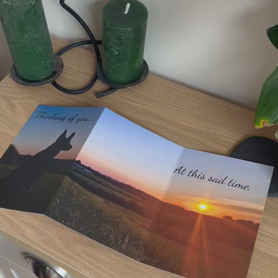 The video shows a demonstration of the Bare Cards Trifold Dog Photo Sentiment Card. The trifold image opens up to show a stunning sunset and a silhouette of a dog looking across the fields and the caption "Thinking of you at this sad time". The video then shows how to fold and seal this unique card to form the built-in envelope depicting sunset over a field of corn.