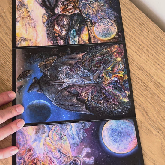 Demonstration video for the Bare Cards self-sealing greetings card from the fantasy art range 'The Josephine Wall Collection': Tiger Moth