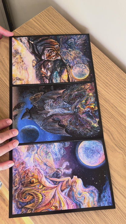 Demonstration video for the Bare Cards self-sealing greetings card from the fantasy art range 'The Josephine Wall Collection': Tiger Moth