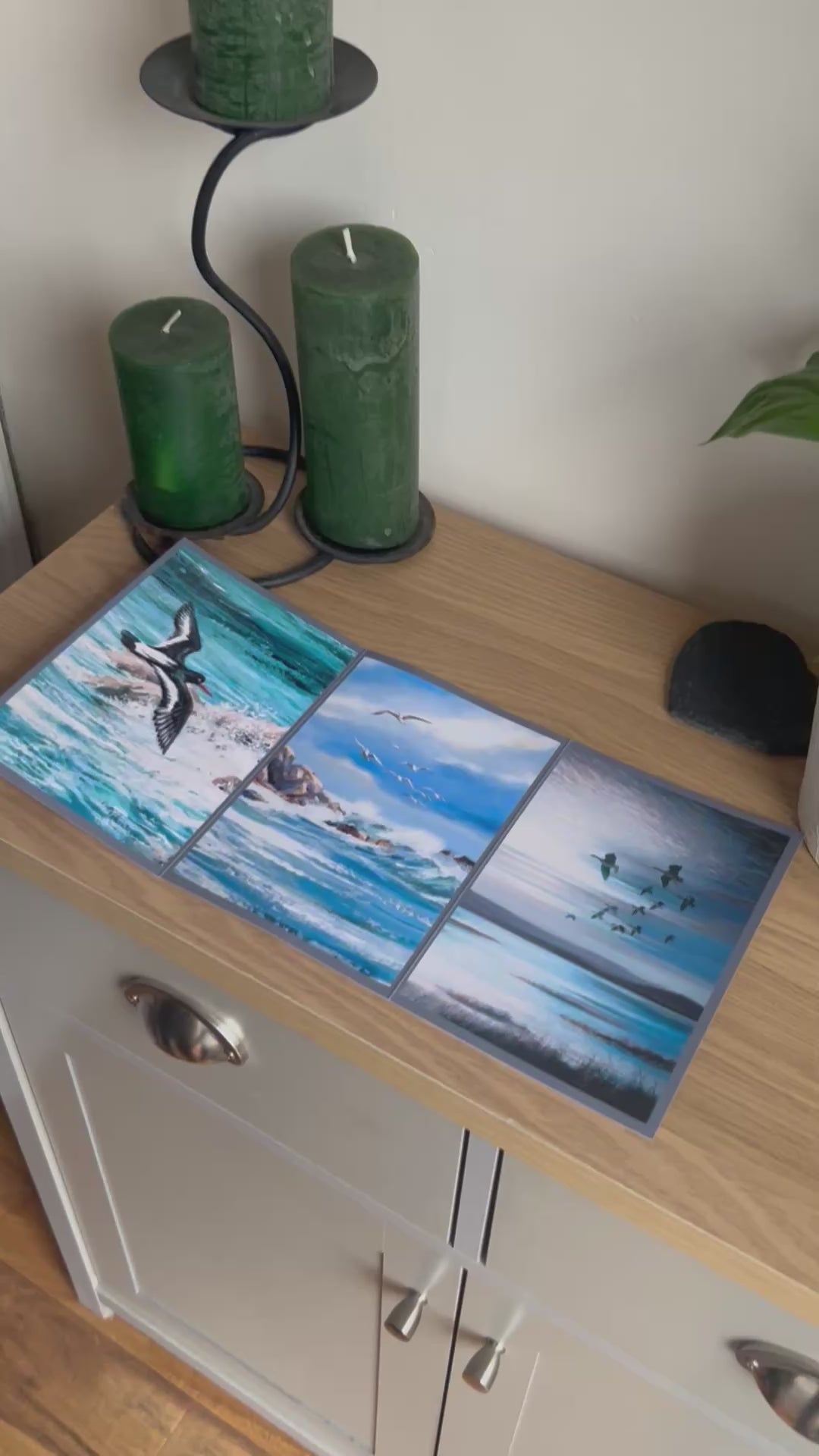 Video shows the self-sealing greetings card from Bare Cards from the John L Harris Collection - a trifold card showing paintings of British Wildlife  - Trio of British Seabirds. The Video shows how to fold, seal and write your card.