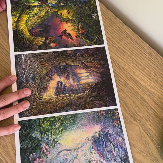 Demonstration video for the Bare Cards self-sealing greetings card from the fantasy art range 'The Josephine Wall Collection': Dryad's Joy