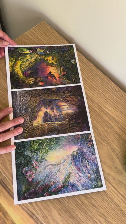 Demonstration video for the Bare Cards self-sealing greetings card from the fantasy art range 'The Josephine Wall Collection': Dryad's Joy