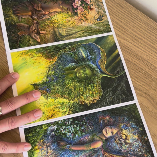 Demonstration video for the Bare Cards self-sealing greetings card from the fantasy art range 'The Josephine Wall Collection': The Wood Nymph