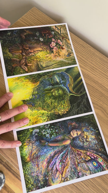 Demonstration video for the Bare Cards self-sealing greetings card from the fantasy art range 'The Josephine Wall Collection': The Wood Nymph