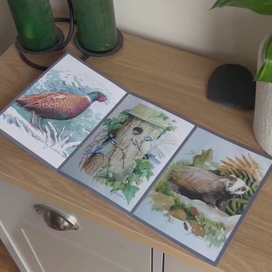 Video shows the self-sealing greetings card from Bare Cards from the John L Harris Collection - a trifold card showing paintings of British Wildlife  - Trio of British Wildlife. The Video shows how to fold, seal and write your card.