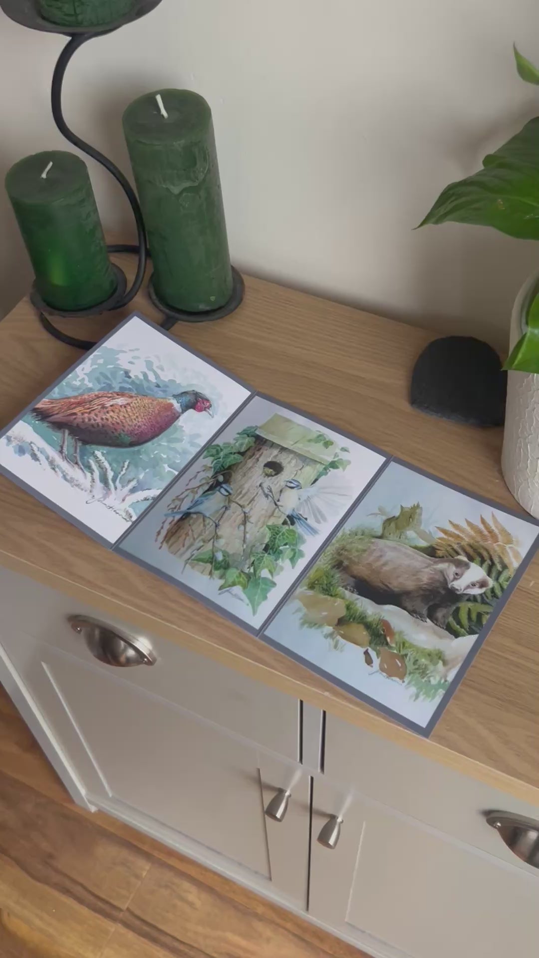 Video shows the self-sealing greetings card from Bare Cards from the John L Harris Collection - a trifold card showing paintings of British Wildlife  - Trio of British Wildlife. The Video shows how to fold, seal and write your card.