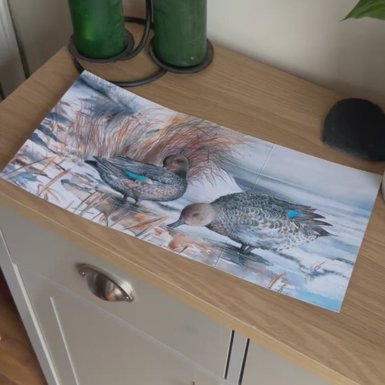 Video shows the self-sealing greetings card from Bare Cards from the John L Harris Collection - a trifold card showing paintings of British Wildlife  - Teal at Shapinsay, Orkney. The Video shows how to fold, seal and write your card.