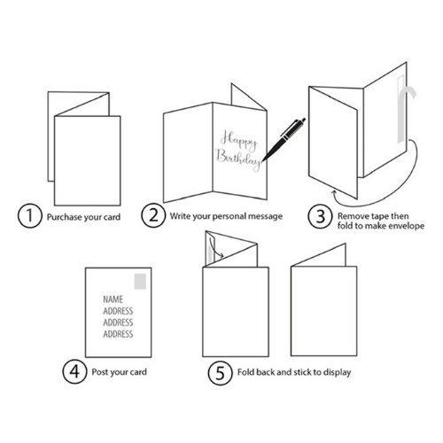 This image shows how the bare cards concept works in 5 easy stages. It reads 1 purchase your card. 2 Write your personal message  Remove tape then fold to make envelope 4 Post your card 5 Fold back and stick to display.